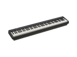 Roland E-Piano FP-10