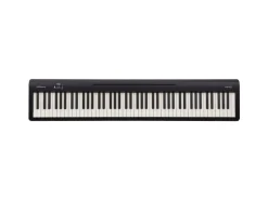 Roland E-Piano FP-10
