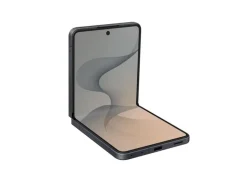 Samsung Galaxy Z Flip8 256 GB (EU-Version) Graphite
