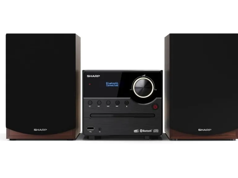 Sharp Musik-System XLB517DBR DAB+/FM Micro System