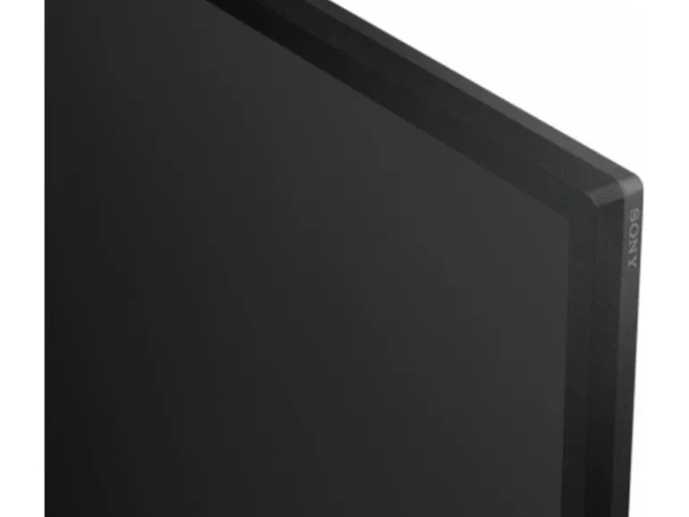 Sony Public Display FW-43BZ30L 43 "