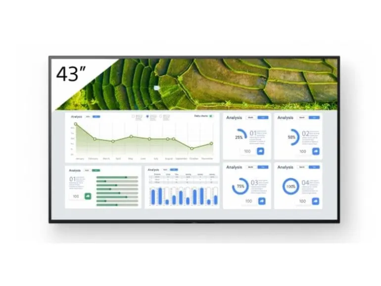 Sony Public Display FW-43BZ30L 43 "