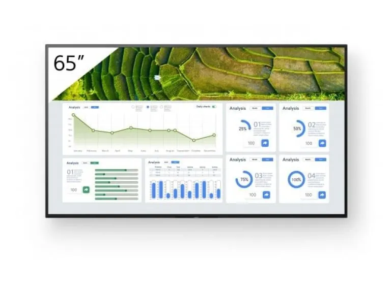 Sony Public Display FW-65BZ30L 65 "