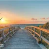 Speedlink Bedruckte Mausmatte Beach Mehrfarbig