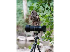 Tamron Zoomobjektiv AF 150-500mm F/5-6.7 Di III VC VXD X-Mount