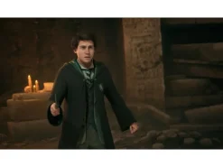 Warner Bros. Interactive Hogwarts Legacy (Box)