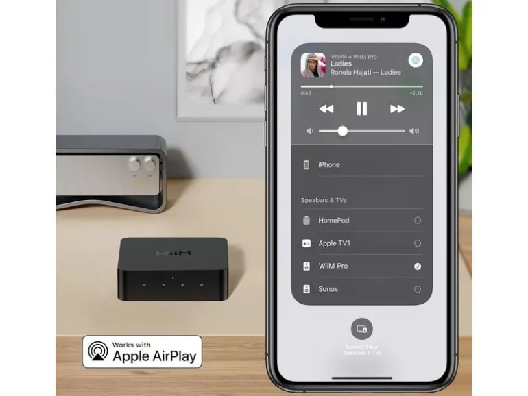 WiiM Netzwerk-Audioplayer Pro Schwarz