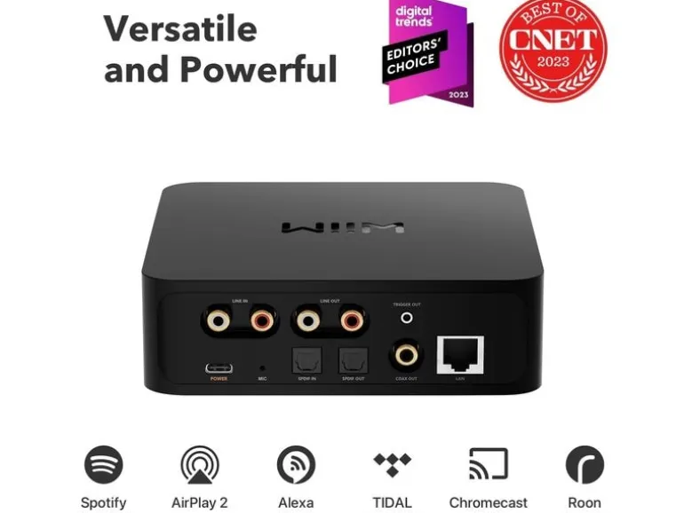 WiiM Netzwerk-Audioplayer Pro Schwarz