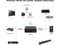 WiiM Netzwerk-Audioplayer Pro Schwarz