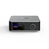 WiiM Netzwerk-Audioplayer Ultra Silber